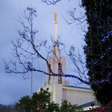 /media/orig/Sydney-Temple-lights3.jpg