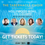 /media/orig/imagehollywoodbowl.jpeg