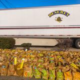 /media/orig/monterey-food-drive-bags-outside-a.jpg