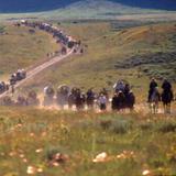 /media/orig/wagon-train-1997.jpg