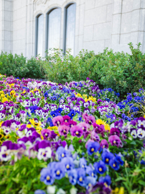 Moses-Lake-media-day