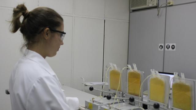 Brazil  Blood Bank
