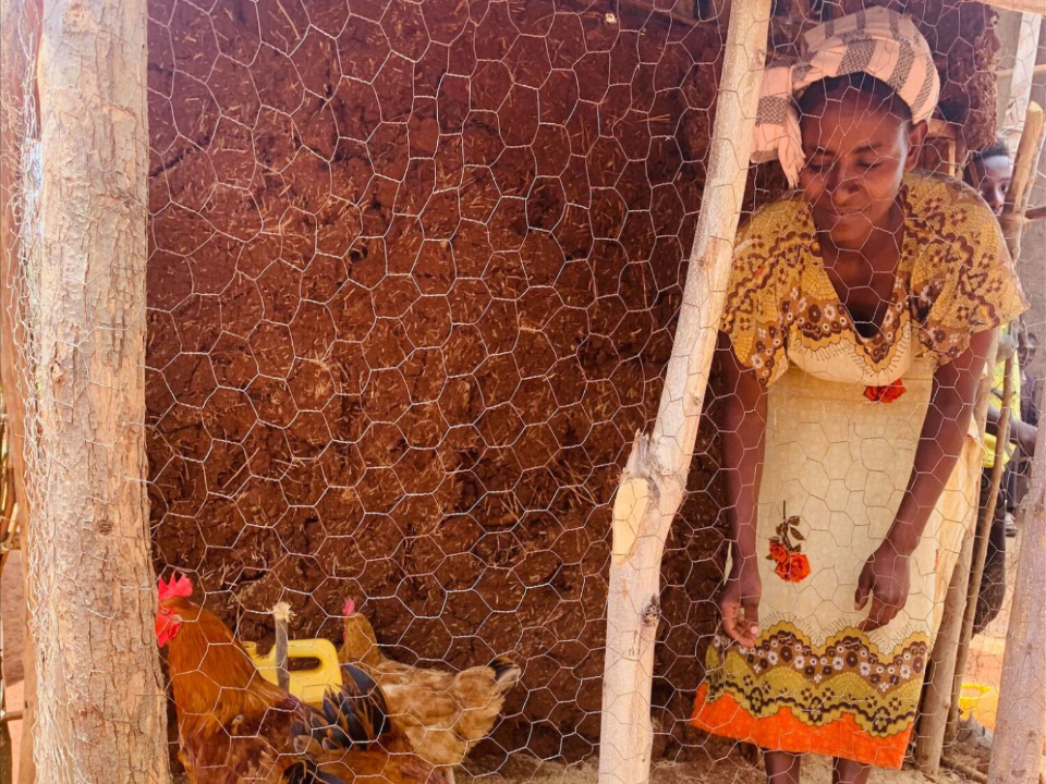 Poultry-Production-in-Ethiopia