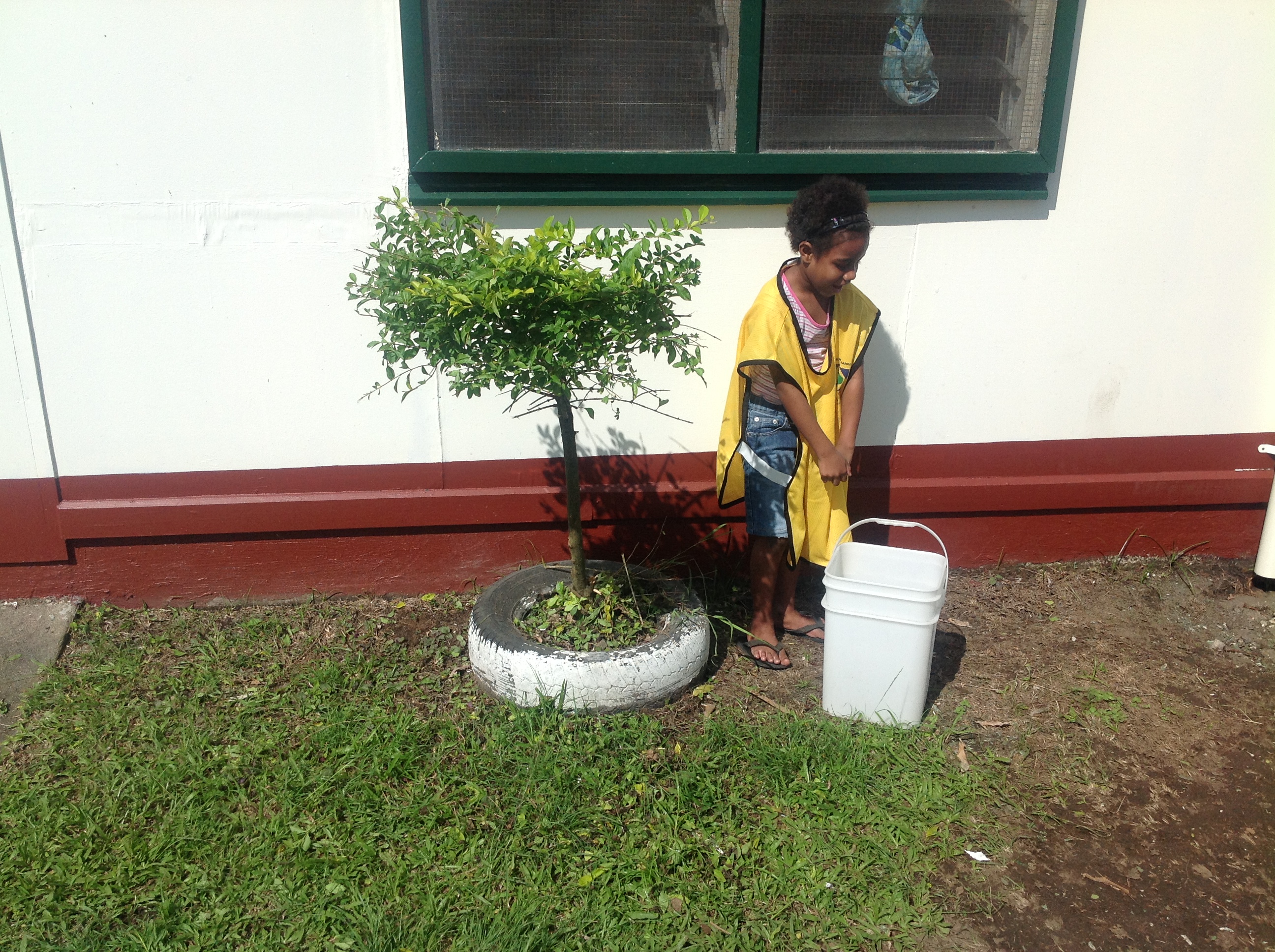 Fiji Helping Hands 1