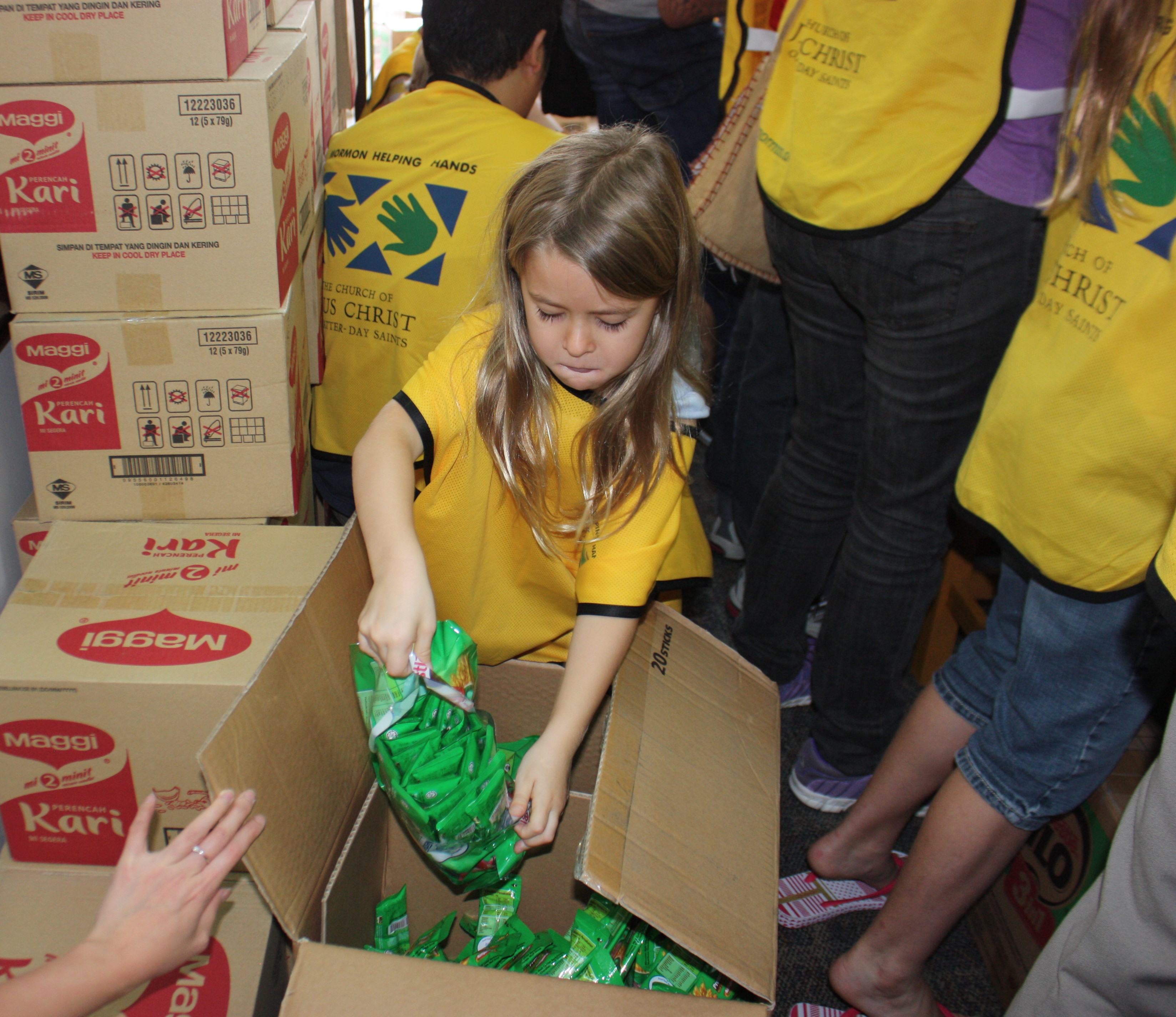 Malaysia flood relief2015 2