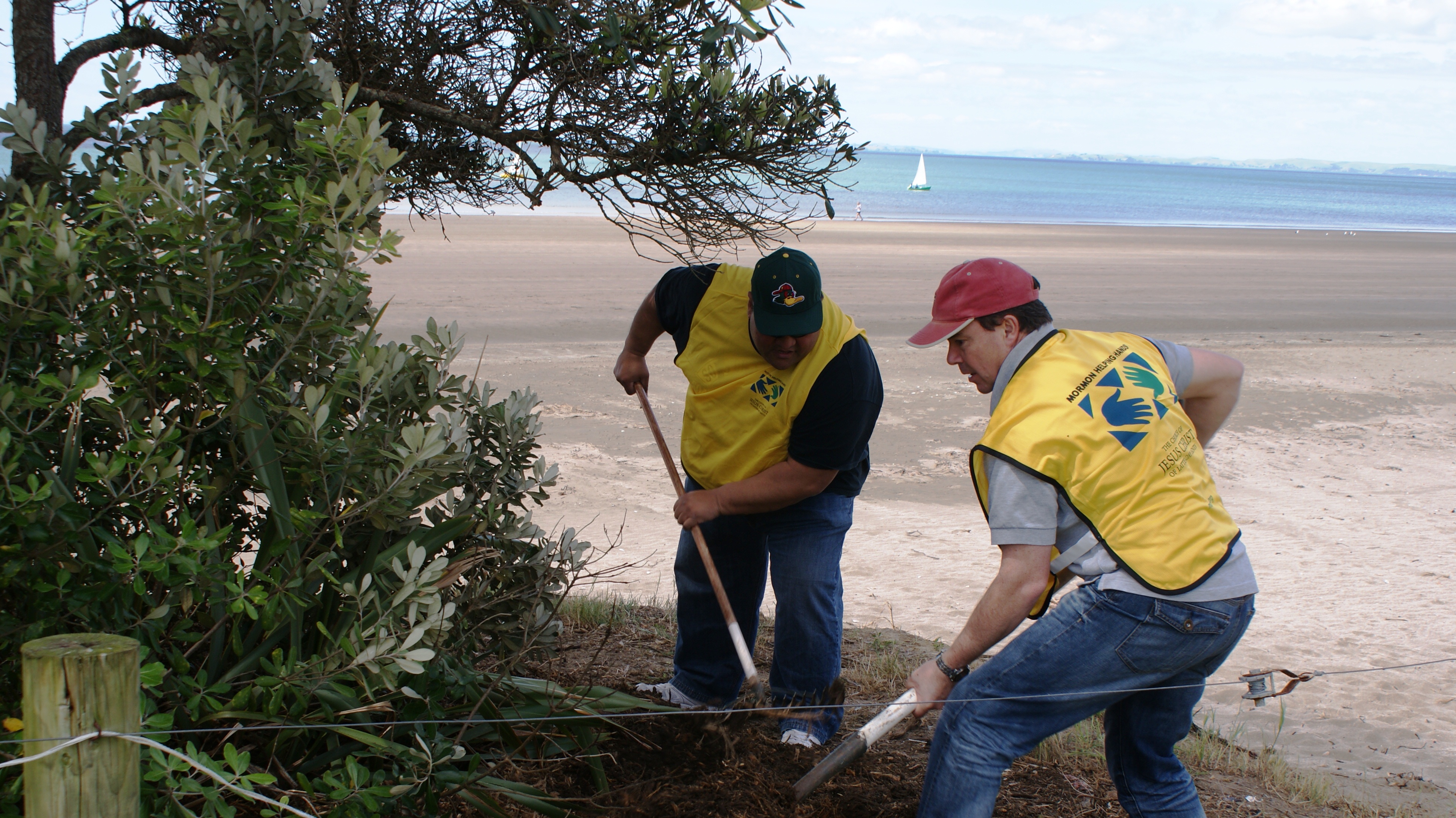 New Zealand MHH 2012