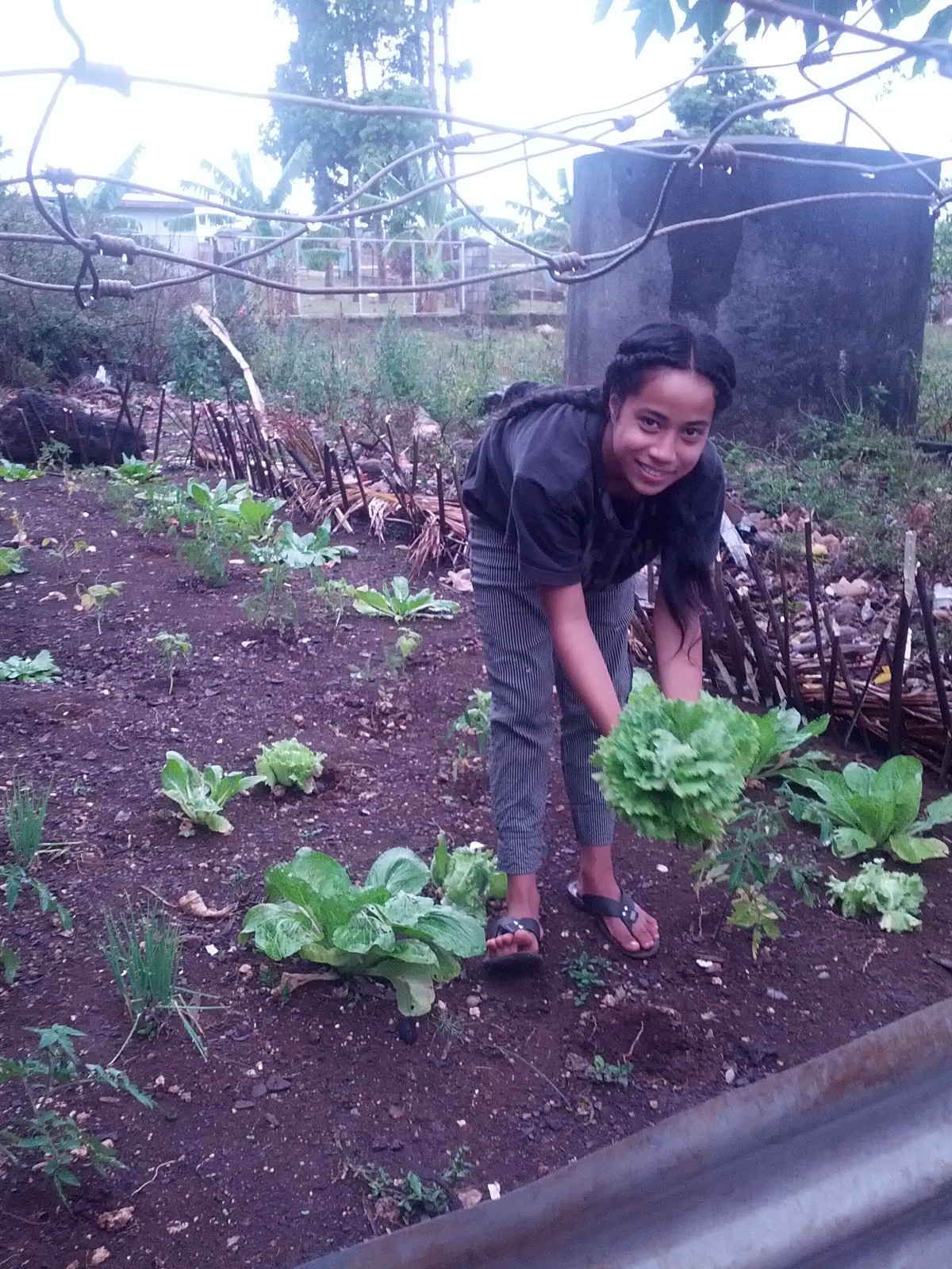 Pacific Tonga students2014 1